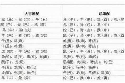 82属什么|82年属什么生肖 1982年与什么生肖合作最佳